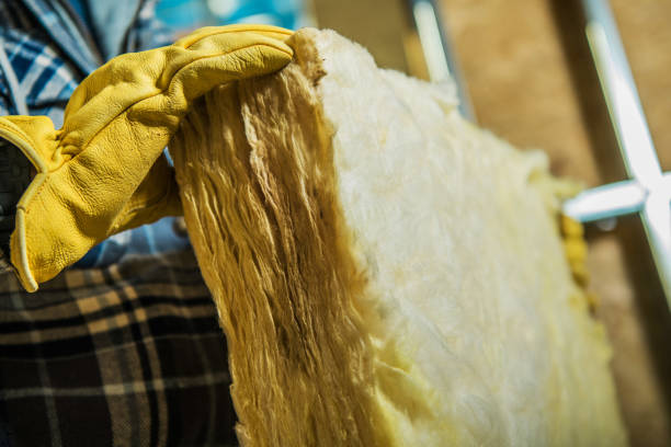 Best Commercial Insulation in Rocky Mount, NC