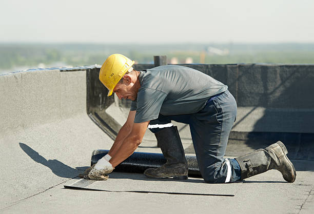 Best Geographic-Specific Insulation Services in Rocky Mount, NC