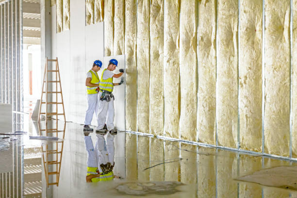 Best Cellulose Insulation in Rocky Mount, NC